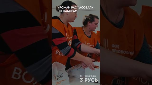 Агрофудшеринг 2022