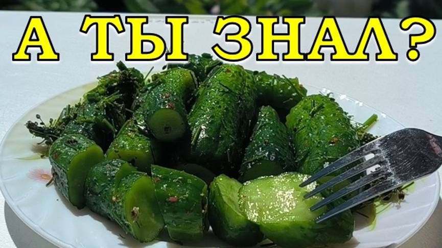 Малосольные ОГУРЦЫ в пакете: самый быстрый и вкусный способ🥒🥒🥒