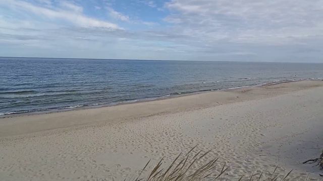 Куршская коса 2024г.