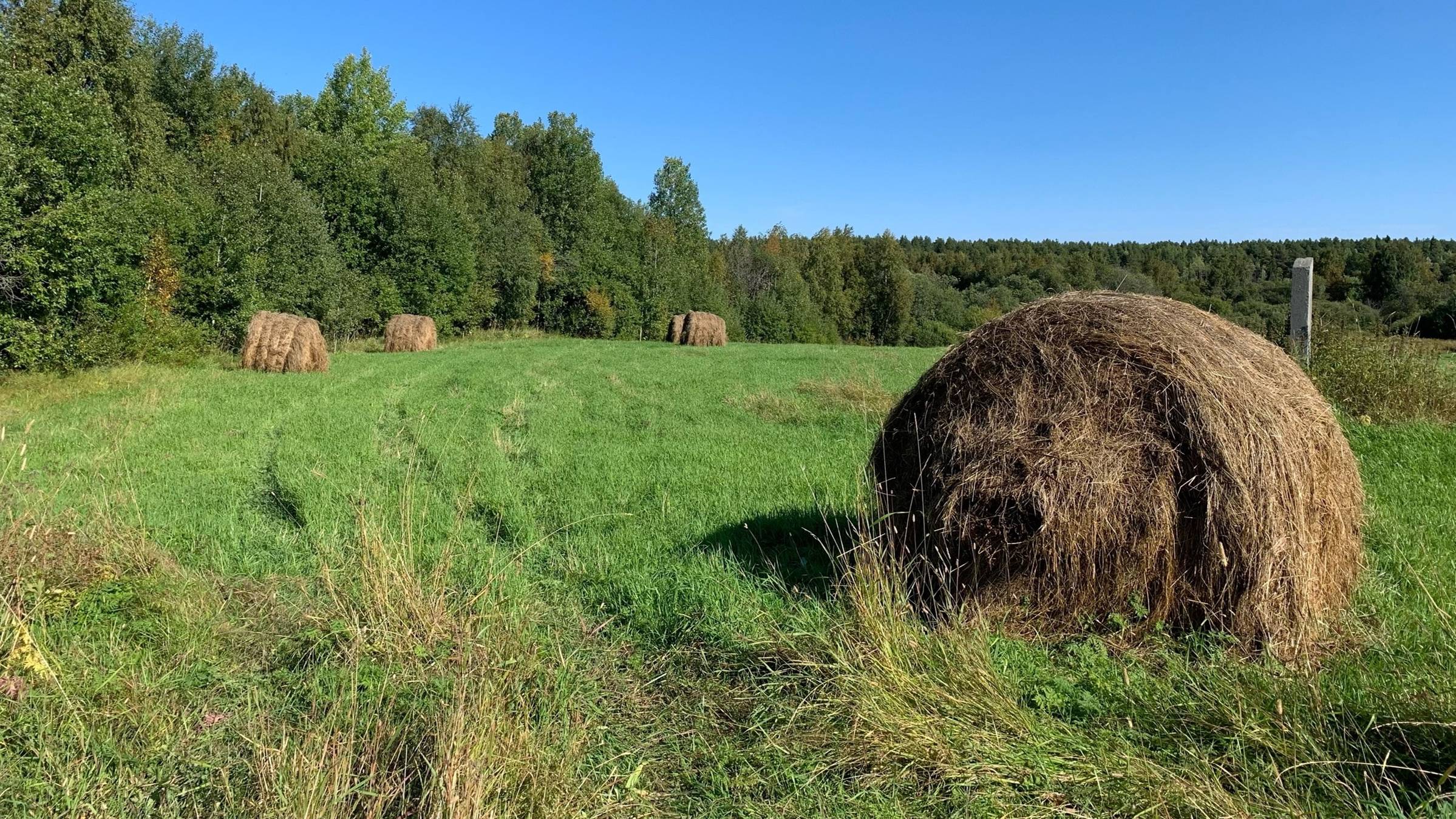 "КАК-ТО НА РУССКОМ СЕВЕРЕ"... (Фото группы СЕВЕРНАЯ ГЛУБИИНКА) - Играет Виктор ГРИДИН (Баян))