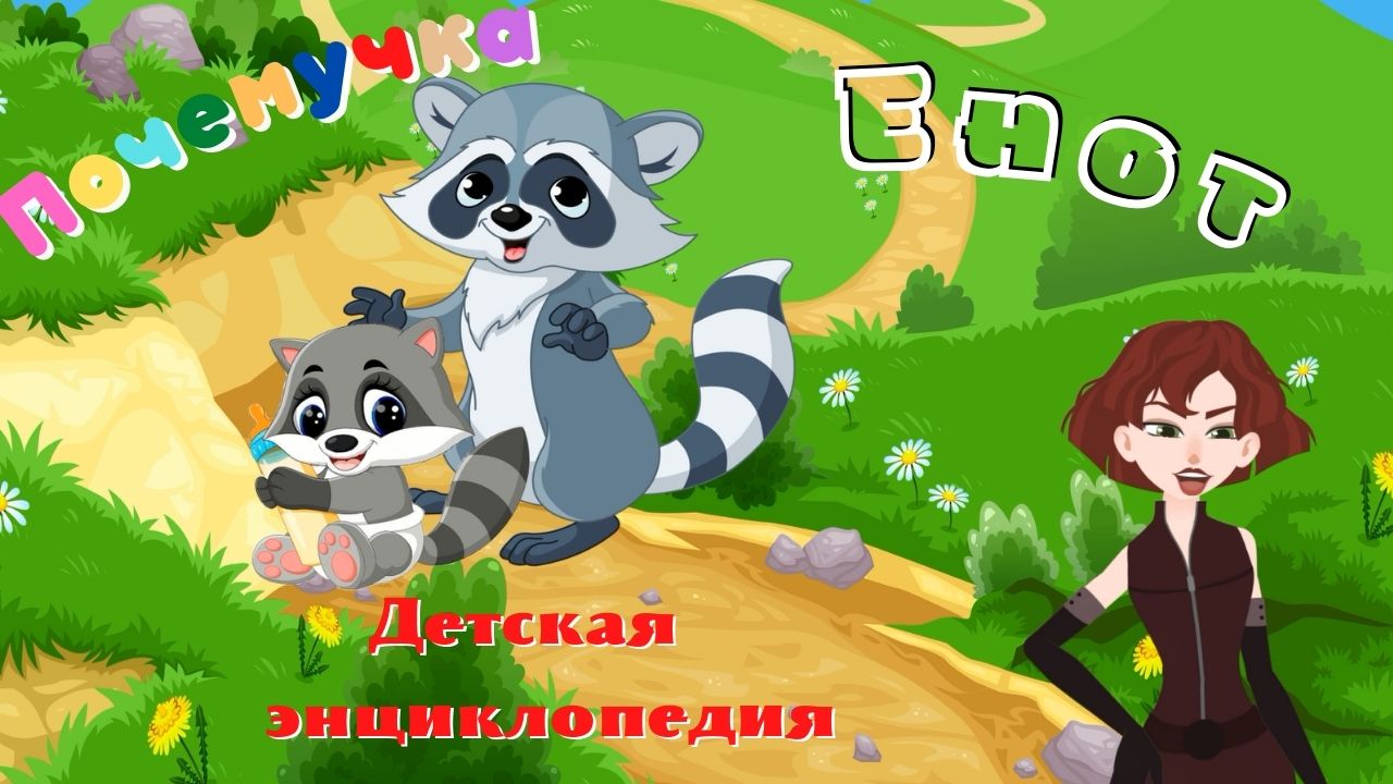 Интересные факты о енотах. Почемучка. Детская энциклопедия.