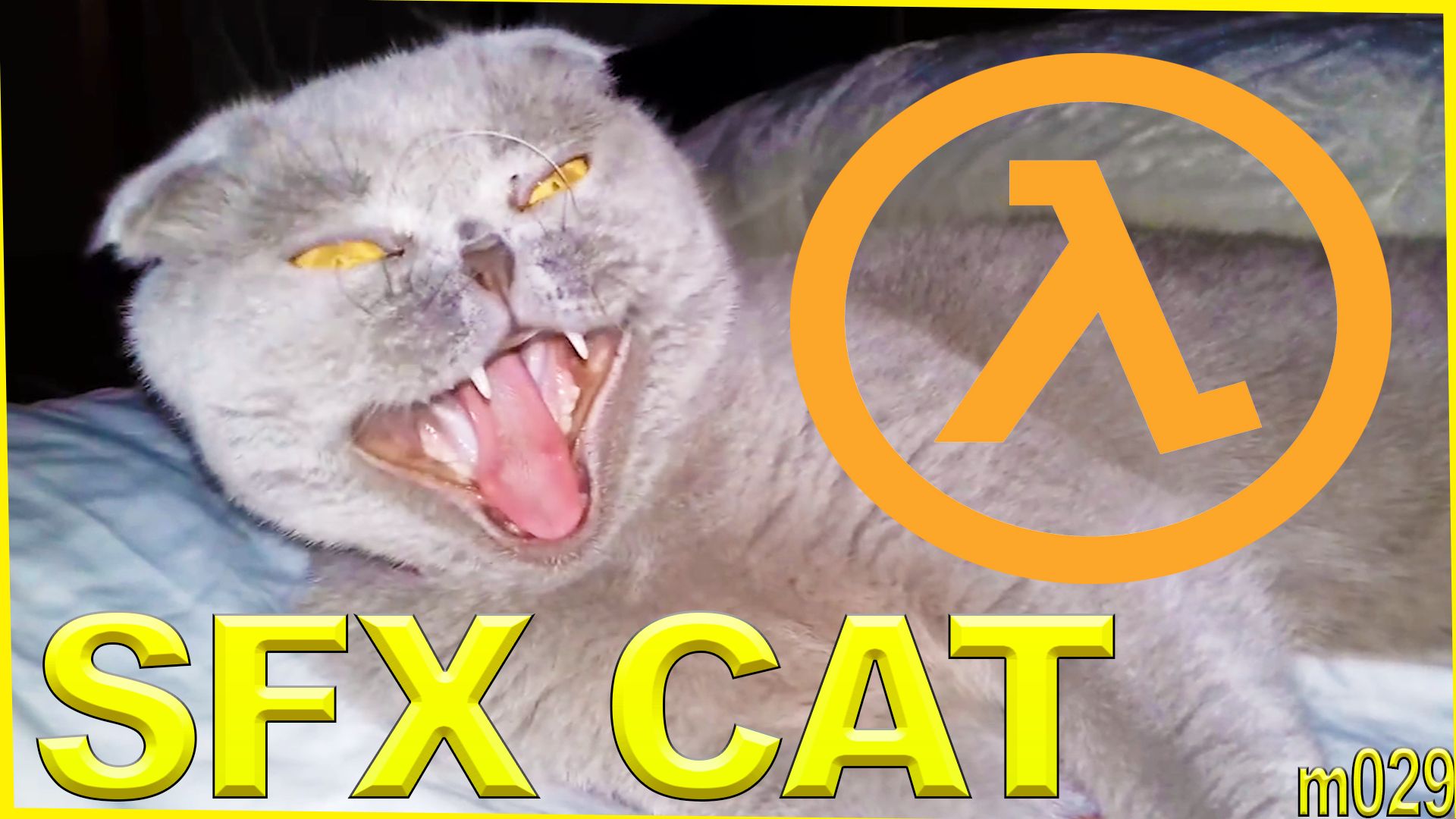 Юмор - домашний кот британец под озвучку Half life SFX