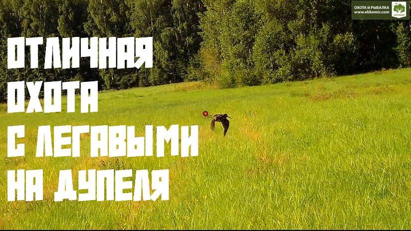 Охота на дупеля