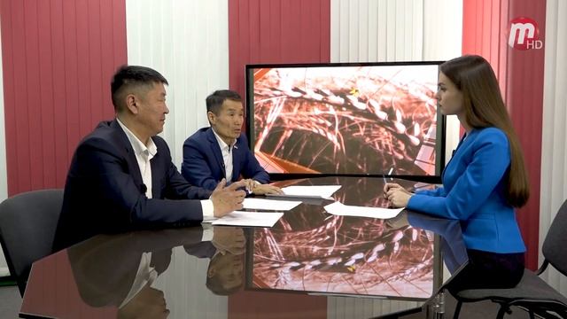 Спросим прямо: в гостях студии Намсарай Намсараев и Михаил Гергенов