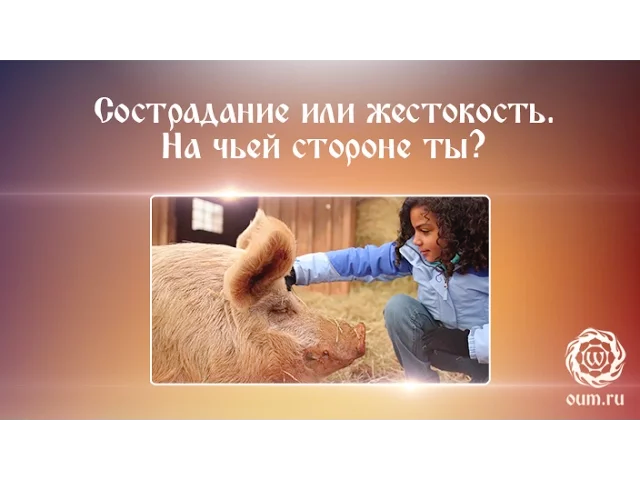 Сострадание или жестокость. На чьей стороне ты?