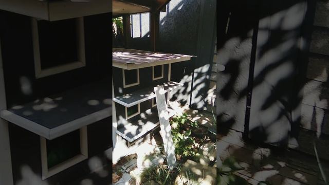 Кошкин дом во дворе 😸