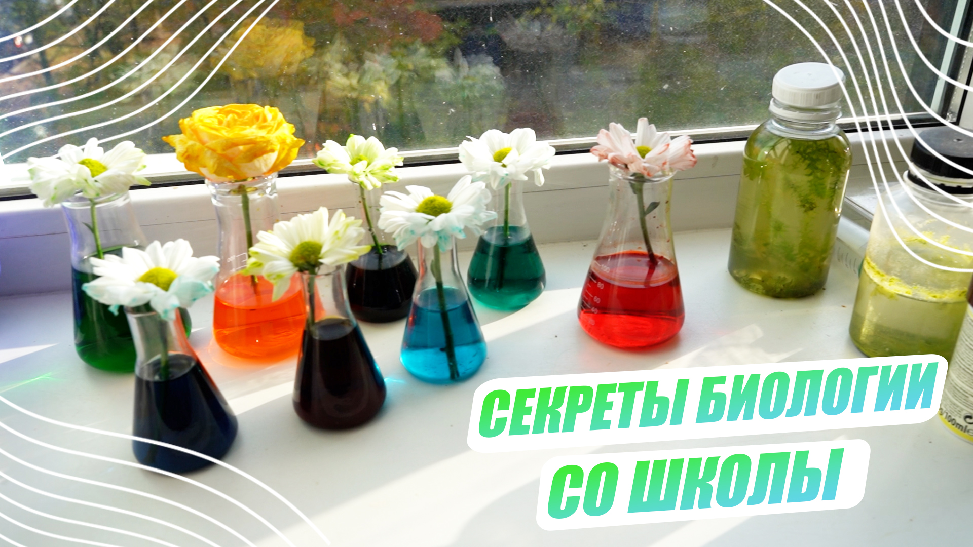 «Ну-ка, наука!» | Биологические эксперименты школьников в Доме научной коллаборации