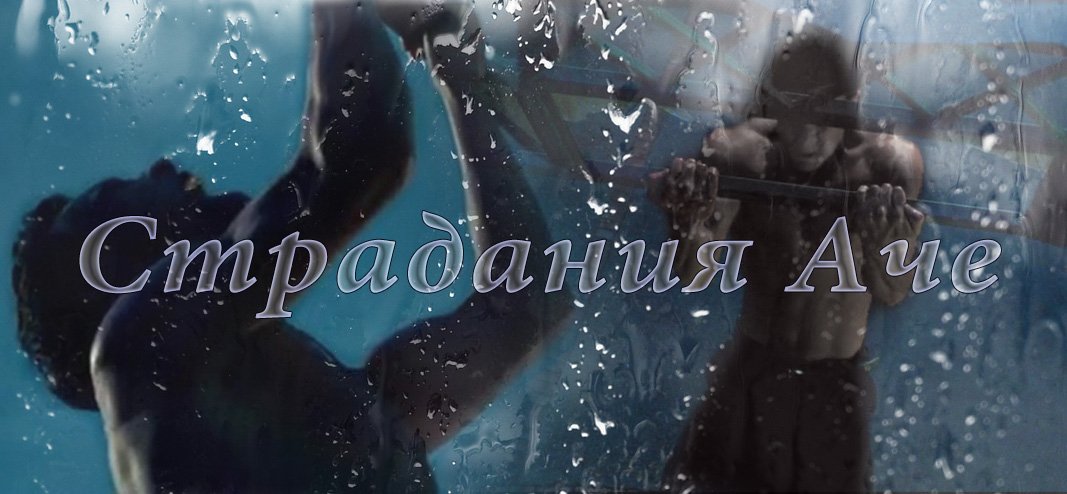 3MSC || Страдания Аче