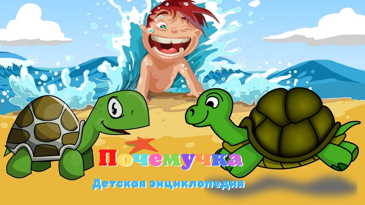 0+ Какое животное дольше всех живет? Почемучка. Детская энциклопедия.