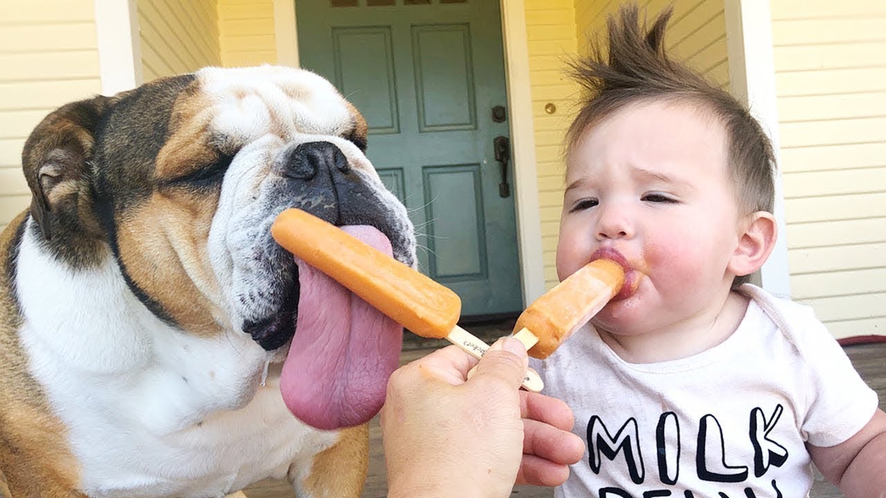 ПРИКОЛЫ С ЖИВОТНЫМИ И ДЕТЬМИ СМЕШНЫЕ МОМЕНТЫ МЕЖДУ ЖИВОТНЫМИ  И ДЕТЬМИ