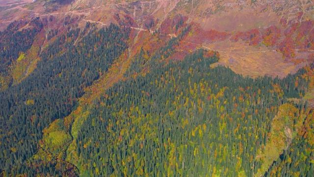 "Нахазо": настоящий рай для любителей природы, желающих сбежать от цивилизации, не жертвуя комфортом