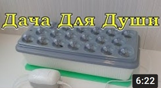ГИДРОПОНИКА: стоит ли покупать? Тестируем установку