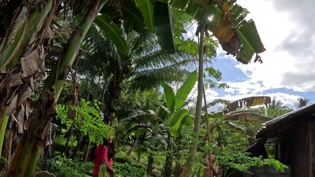 НАШЁЛ МОЛОДЕНЬКУЮ  ФИЛИППИНКУ - ПРИНЦЕССА в ДЕРЕВЕНСКОЙ ГЛУШИ