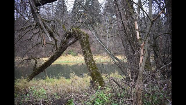 Река Истра фото