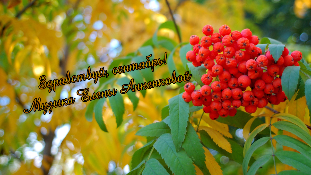 Здравствуй, сентябрь*