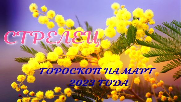 СТРЕЛЕЦ ГОРОСКОП НА МАРТ 2023 ГОДА