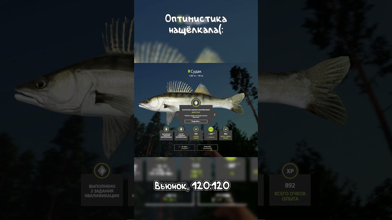 Нащёлкала#shorts