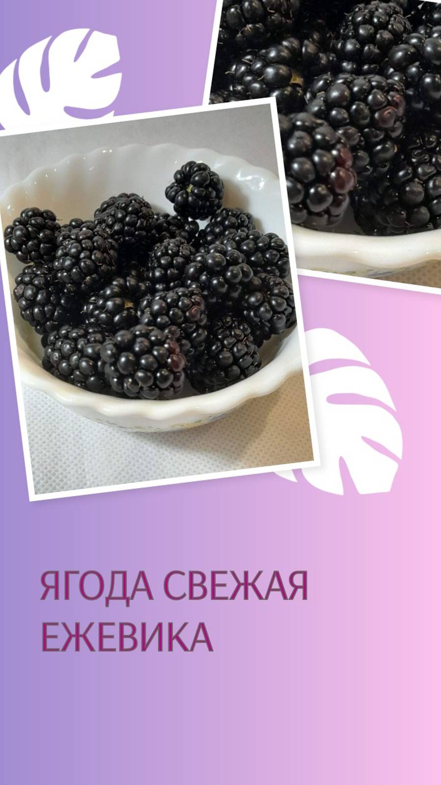 Ягода Свежая Ежевика