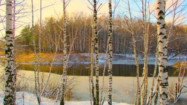 "КАКОЙ-ТО ТЫ ЗАДУМЧИВЫЙ"... (Фото Сергея Краева (Рязань) - Поёт Людмила Зыкина)