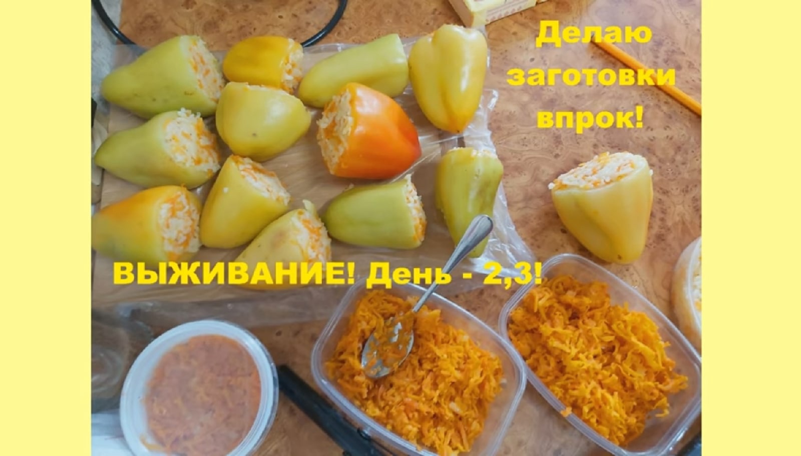 ВЫЖИВАЮ на 1000 рублей! День 2,3-й!