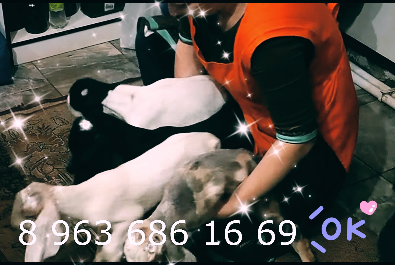 ТАКИХ КОЗЛЯТ НЕ ПРОДАЮТ.mp4