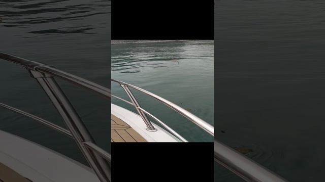 Рыбалка на Камчатке. Бухта Русская. .mp4