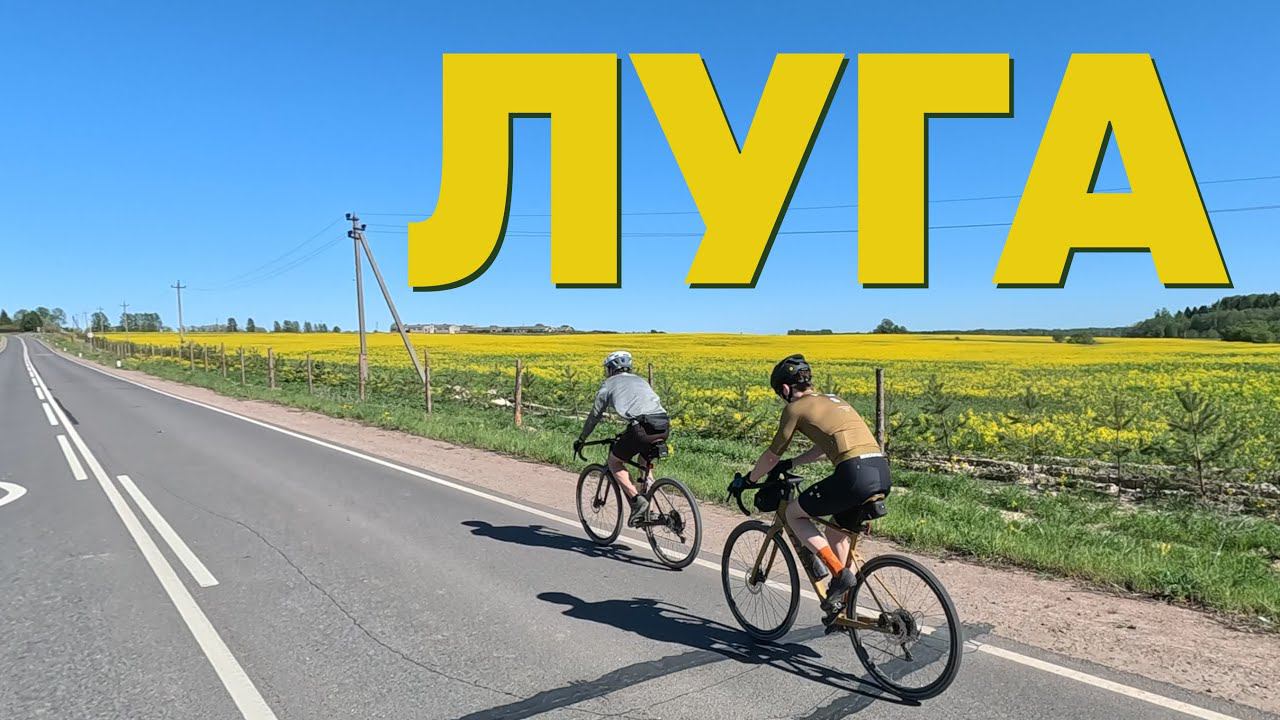 Луга: полигон, пещера, монастырь и аист. На велосипеде | 18.05.2024