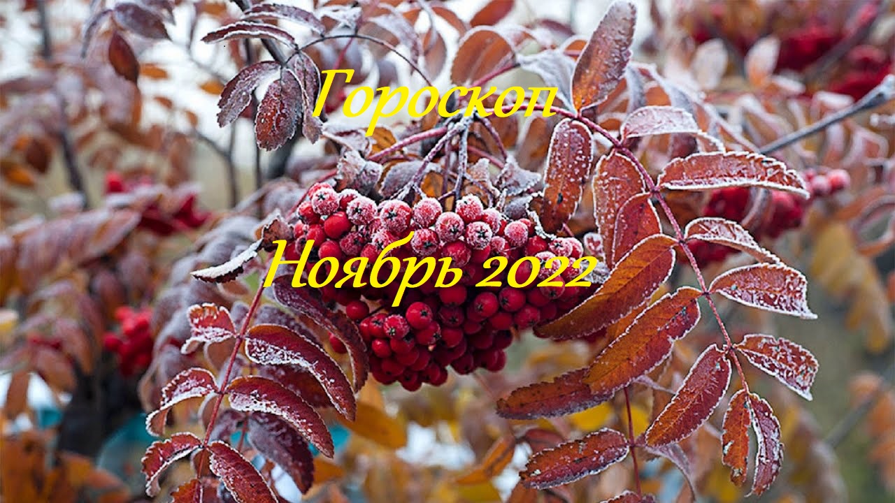 #Аврора #гадание Овны на ноябрь 2022.mpg