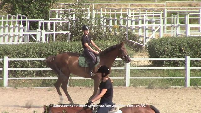 Август 2022г. в агрогородке Ратомка под Минском