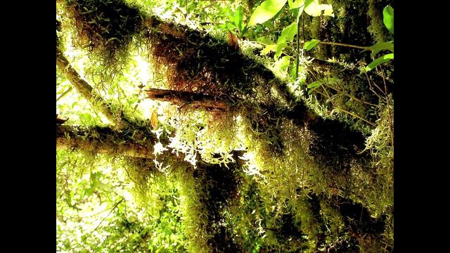 УДИВИТЕЛЬНЫЙ КАНЬОН РЕКИ ПСАХО