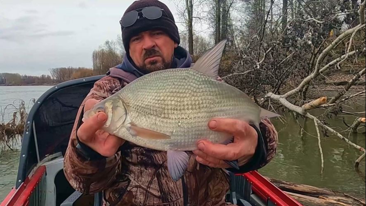 ЛЕЩ НА ПЕНОПЛАСТ. Рыбалка на Оби ( Сузун ) 22 октября 2023г. Закрытие сезона.
