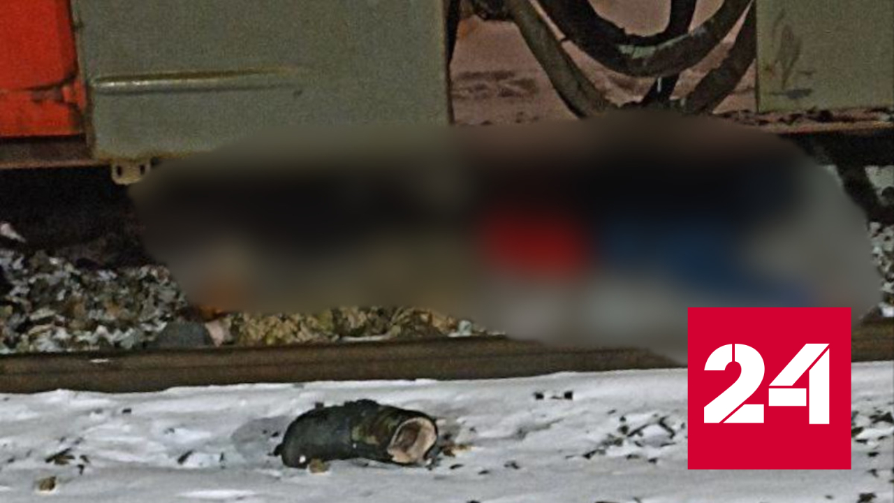 Очевидцы сняли последствия наезда электрички на людей в Москве - Россия 24