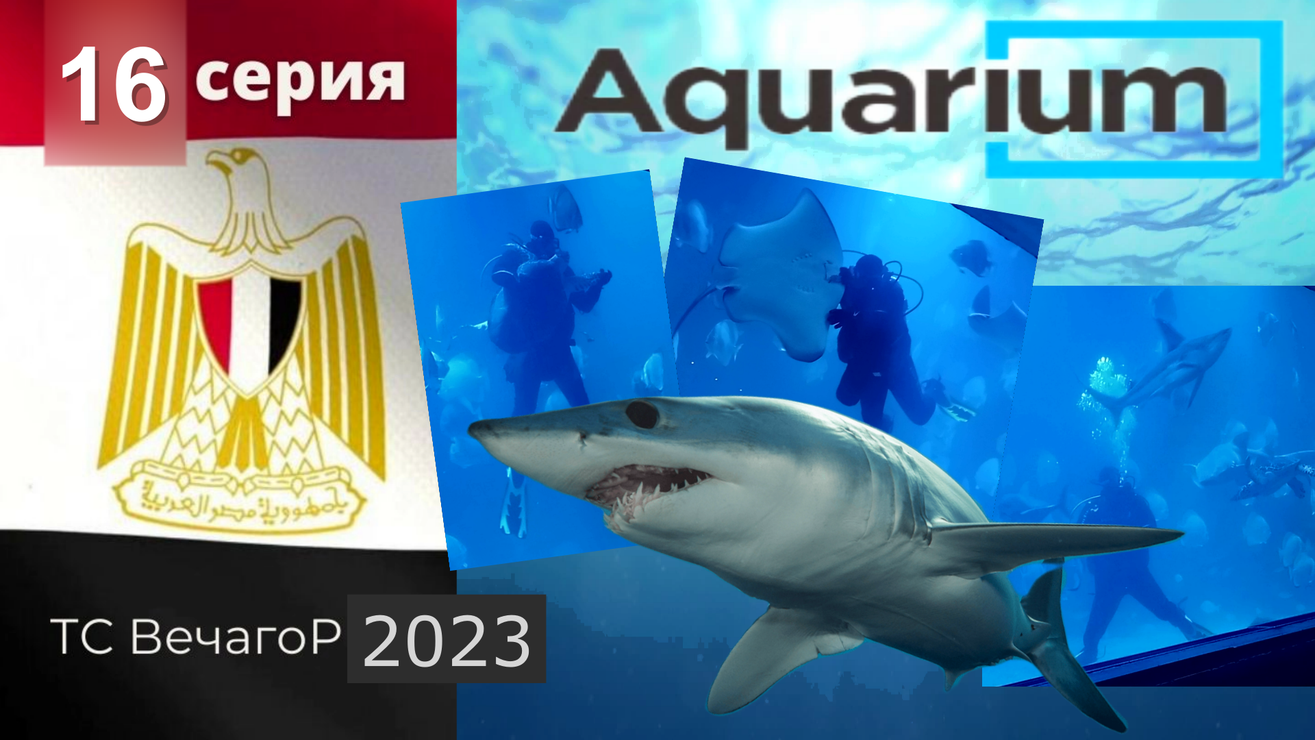 Египет, Хургада. Отдых на Красном море_16 серия: Гранд Аквариум_Часть 4: Кормление акул (2021).
