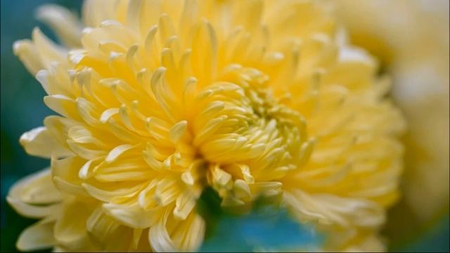 23 настрой «Все происходит во благо»