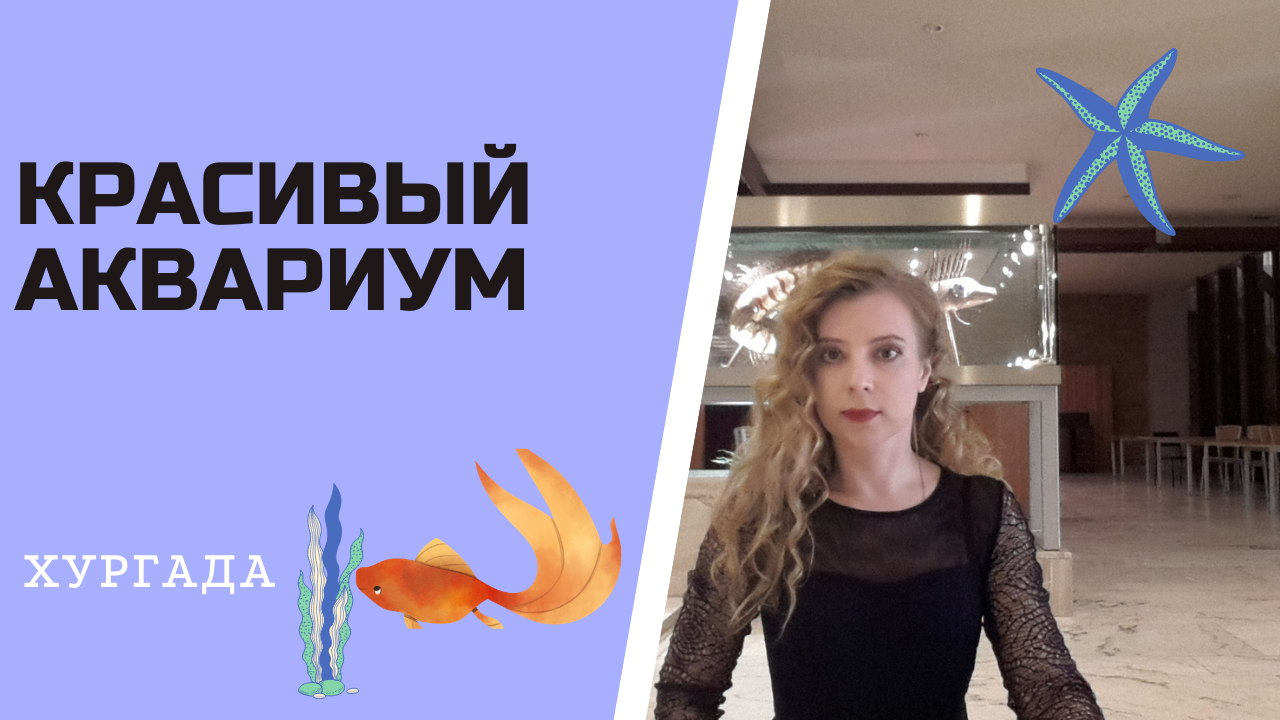 Аквариум с рыбками в городе Хургада (Египет)