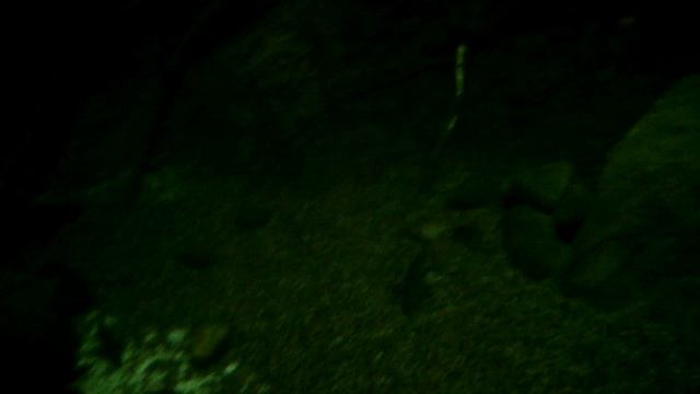 Необыкновенные рыбешки.