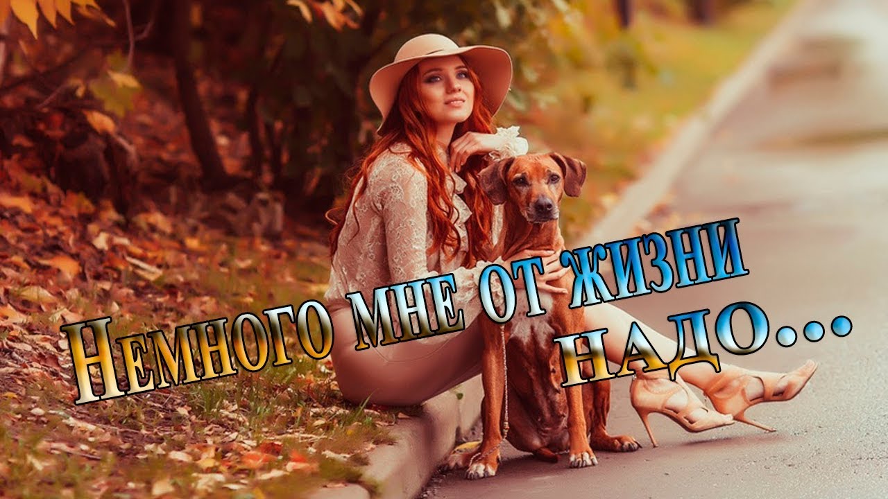 Немного мне от жизни надо*