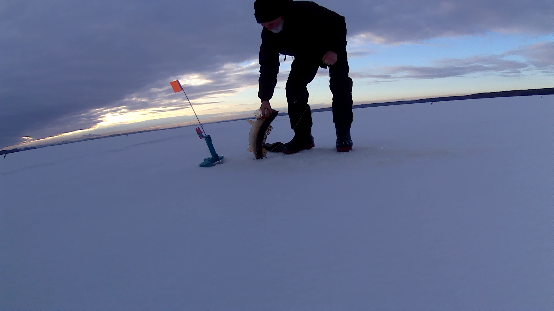Зимняя рыбалка на жерлицы. Ловлю судака в корягах