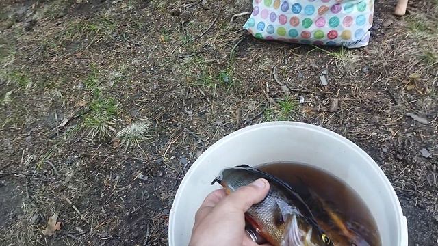 рыбалка в Карелии👍👍👍