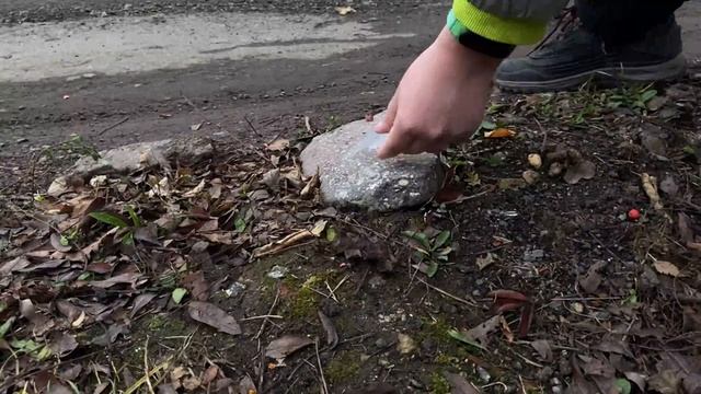 защитное стекло против петард