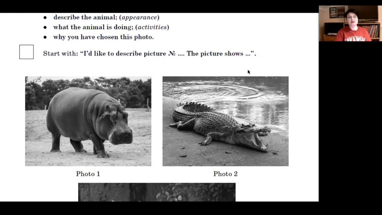 ВПР-7. Английский язык. Устная часть. Практическое занятие.