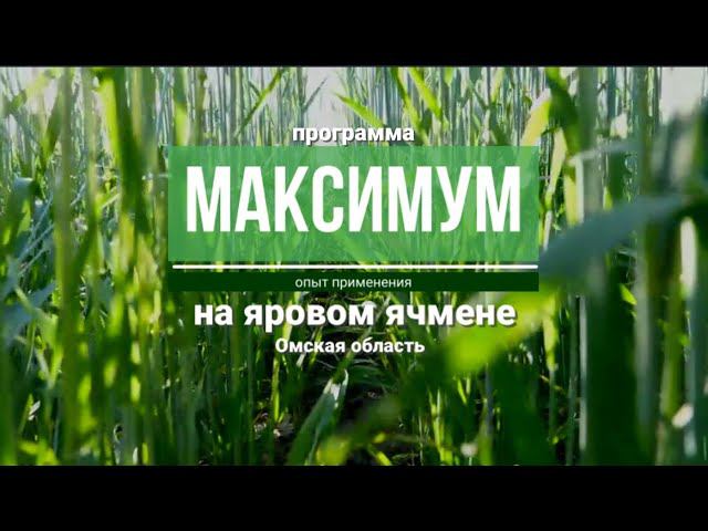 Репортаж с полей. Программа «Максимум» на яровом ячмене
