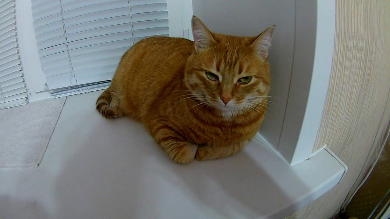 Не большой праздник на канале