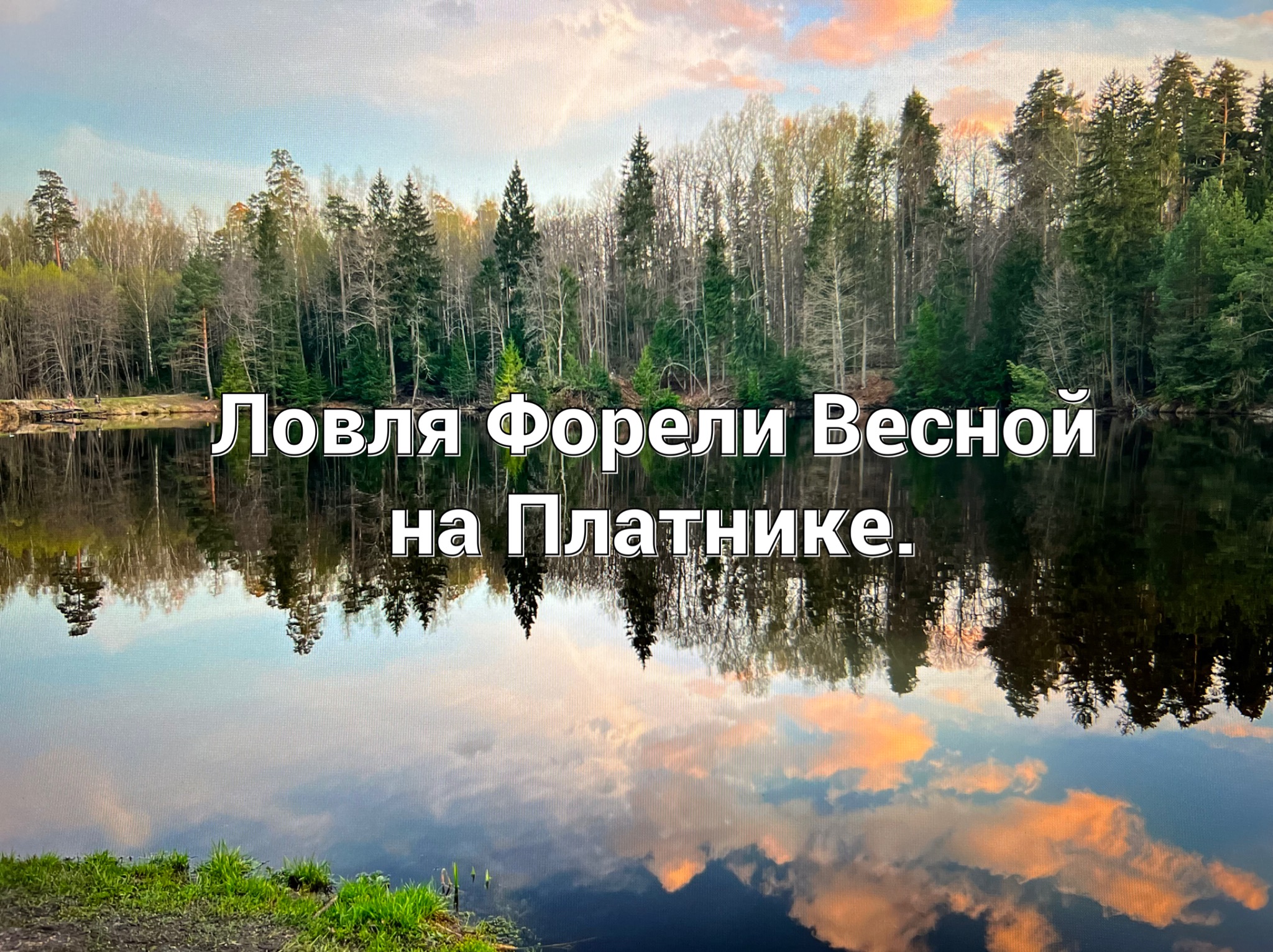 За Форелью в Подмосковье!