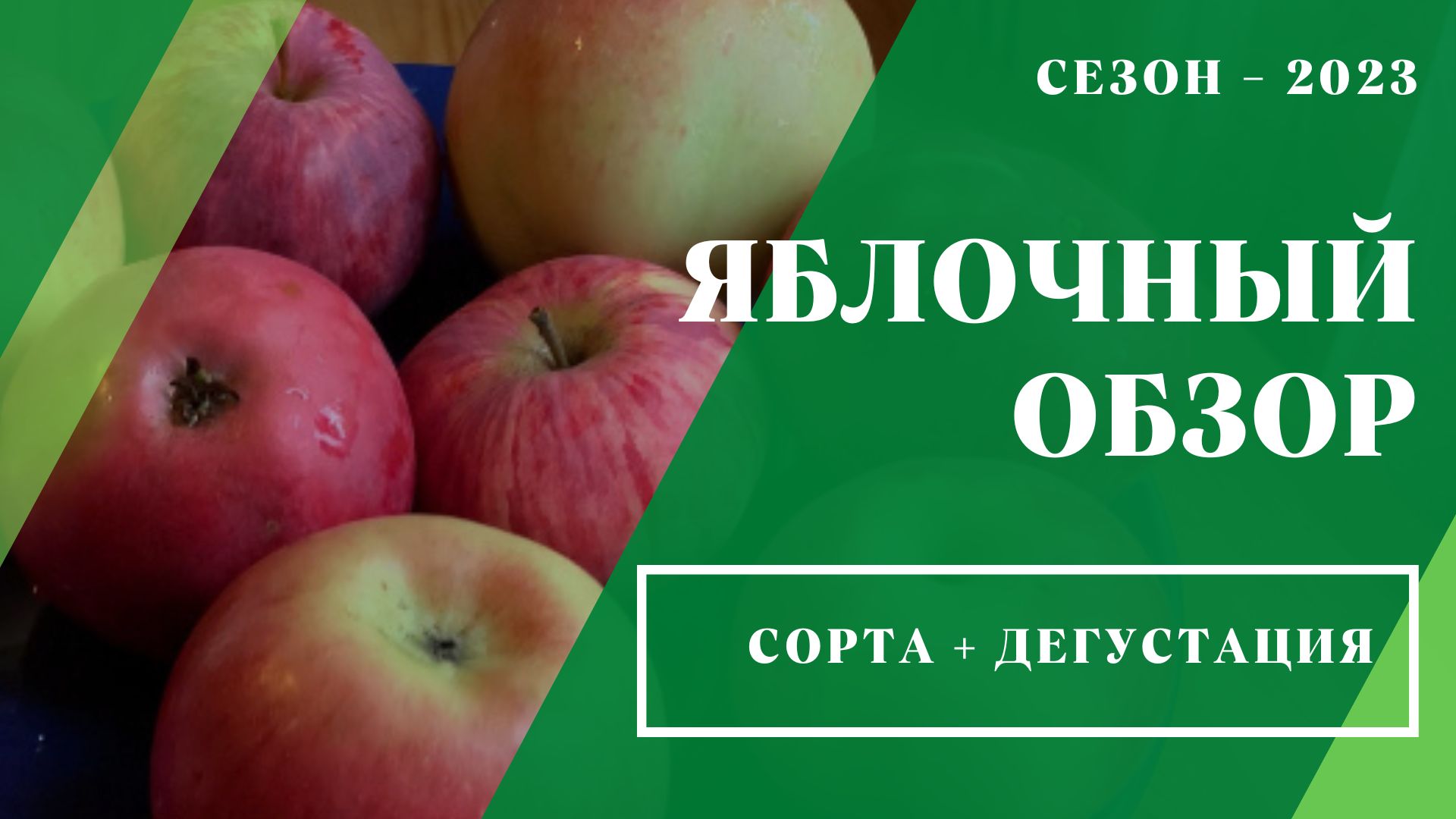 Яблочный обзор - 2023