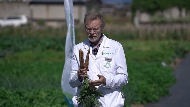 Селекция для здоровья и долголетия.