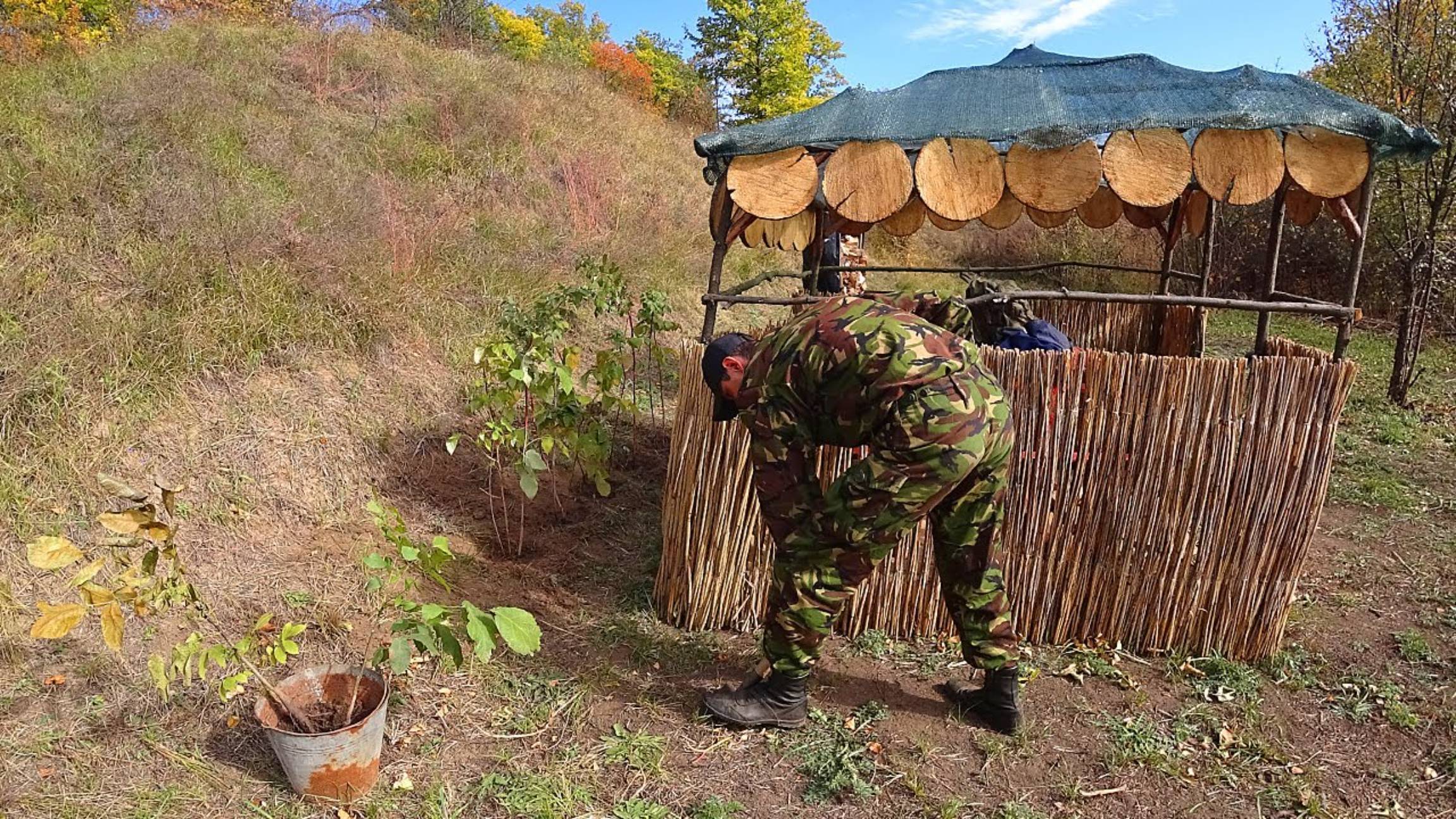 Строю Хижину 9 часть. 2020. Высадил деревья и малину. Приготовил пельмени и шиповник. Волкмикс.