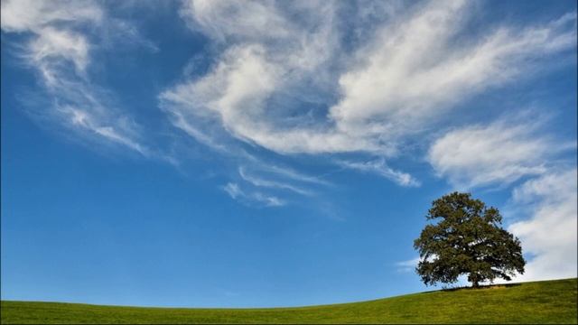 Стихотворение Романа Доля «Быть, а не казаться».