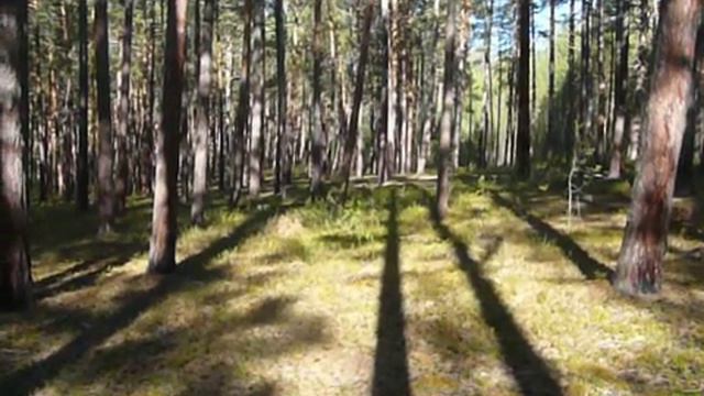 Компас. Определение времени по тени