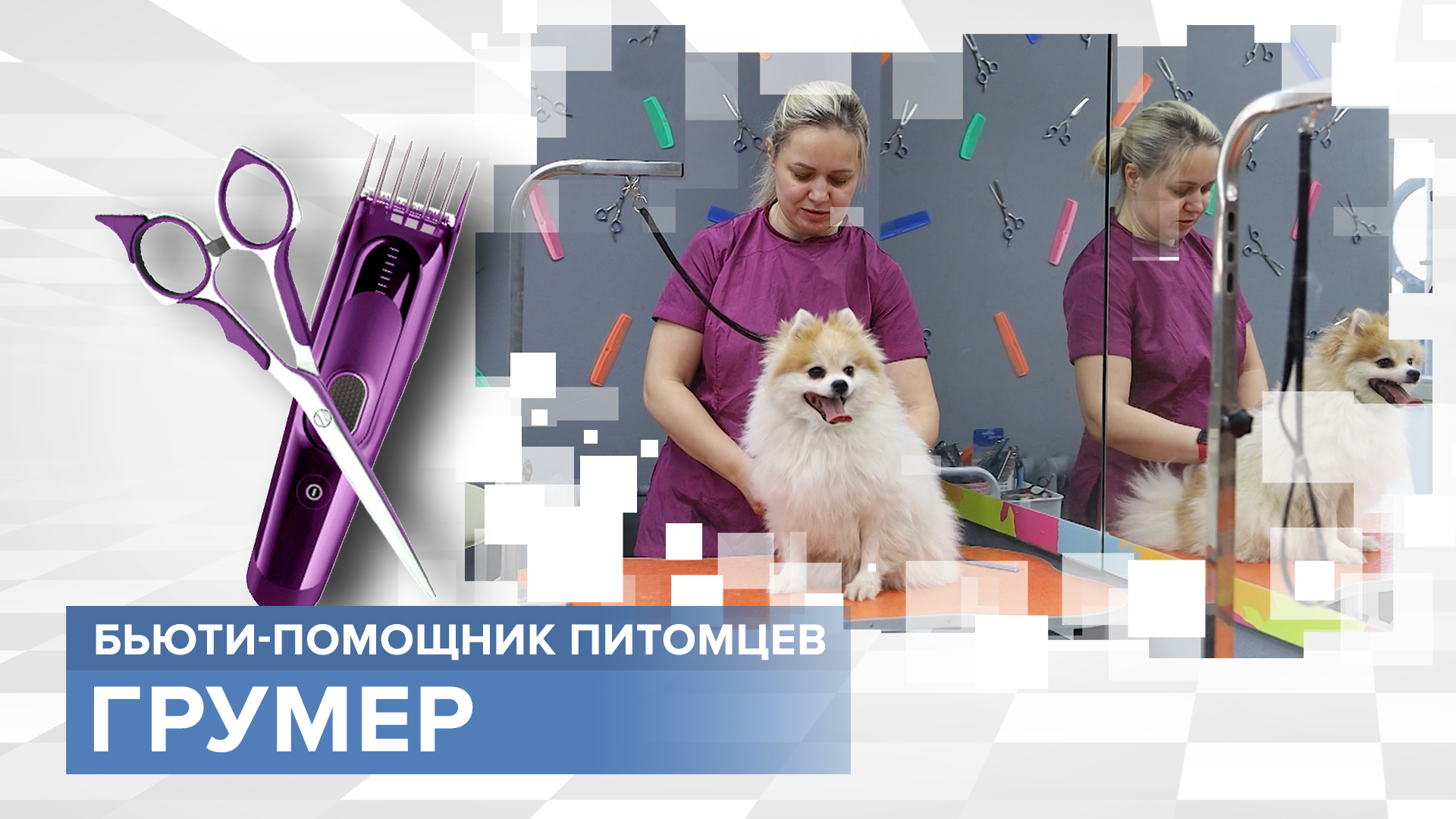 «Тружусь и горжусь»: грумер